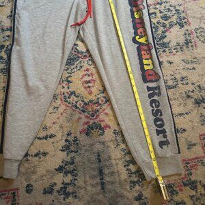 Disneyland Resort Retro Style Gray with Blue White Side Stripes XL